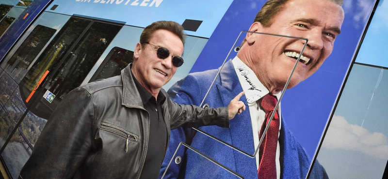 Schwarzenegger bécsi teknősöket ment 