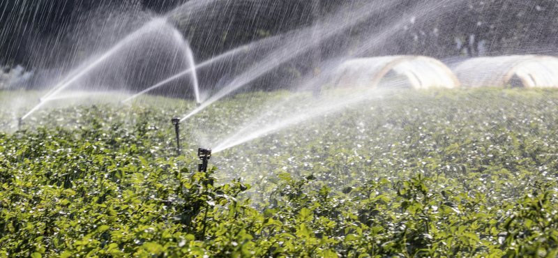 Átvállalja az állam az idei mezőgazdasági vízszolgáltatási díjat