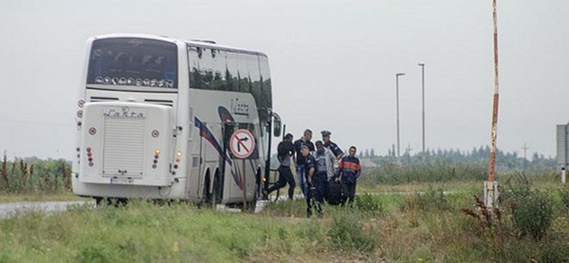 Lefotózták, ahogyan a szerb rendőrök a zöldhatárhoz küldik a menekülteket