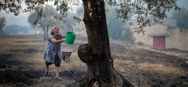 Lángba borultak az erdők a mediterrán országokban – több helyen is evakuálták a lakosságot