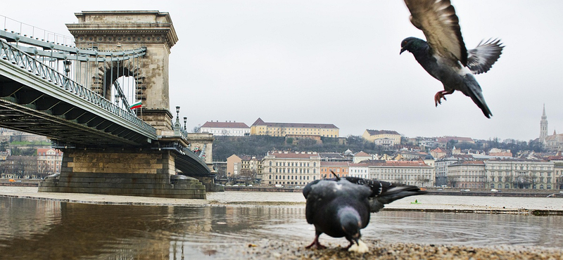 Nem valószínű, hogy elönti az ár a budapesti rakpartokat