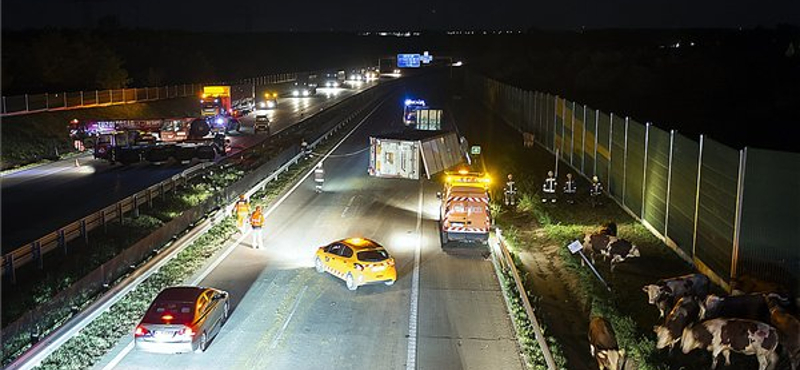 Kiderült, melyik jármű jelenti a legnagyobb veszélyt az utakon