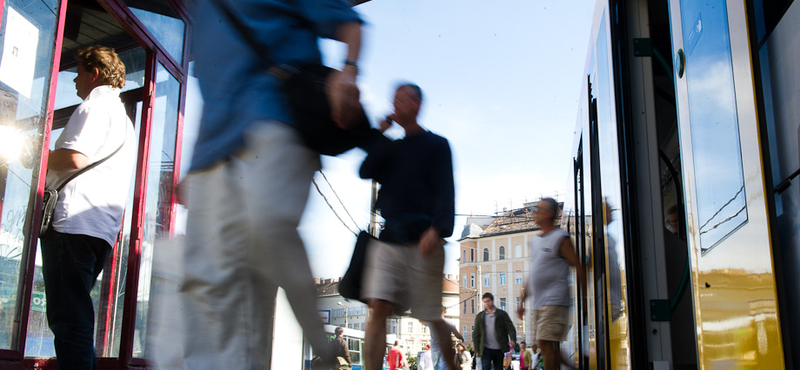 Népszámlálás: utólag írt bele valaki egy budakeszi kérdőívbe