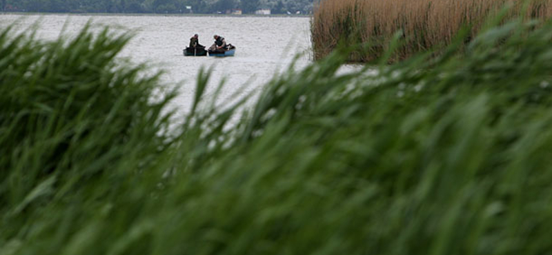 Embereket kellett menteni a Velencei-tóból