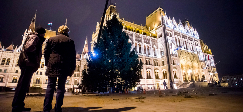 Fotók: Már áll az óriásfenyő a Kossuth téren