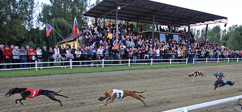 Agárstadion épülhet Budapesten