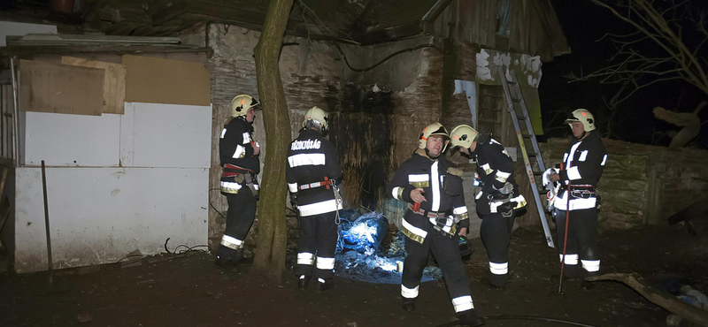 Fotók: másodszor gyulladt ki a hajléktalanok XII. kerületi nyomortanyája