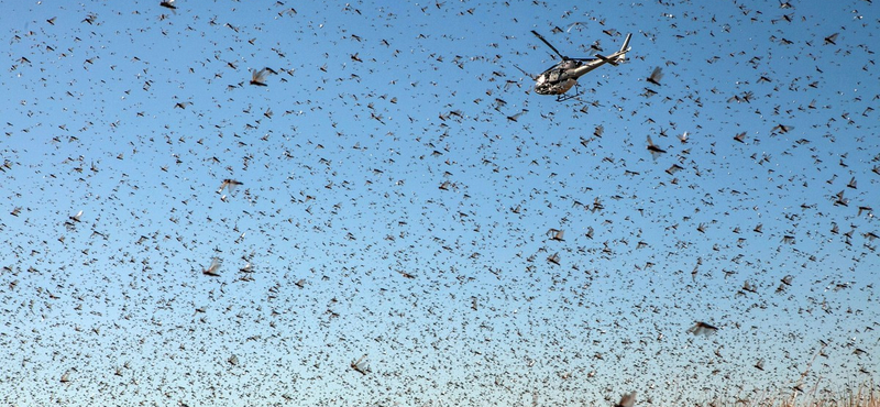 Az első klímaváltozás okozta éhínség pusztít Madagaszkáron