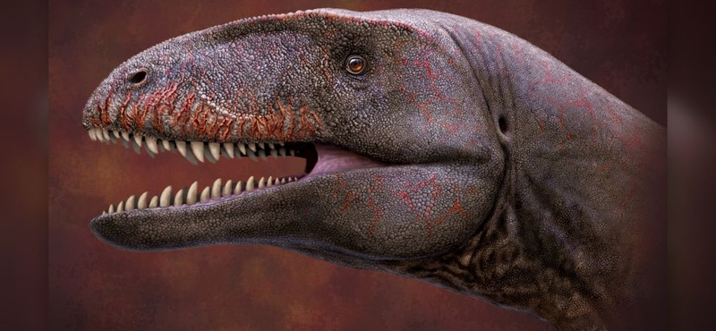 Azonosítottak japán őslénykutatók a T-rex elődjét