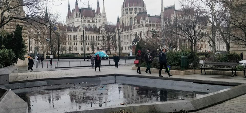 Kiadták az engedélyeket, 13 fát végleg kivágnak a Nagy Imre-szobor áthelyezése miatt