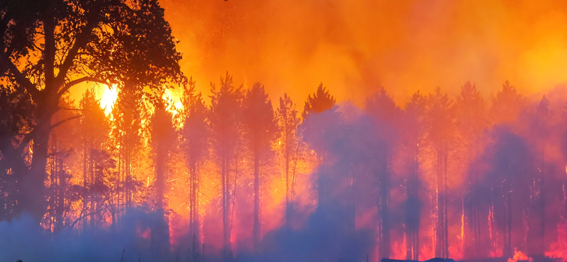 Meghalt egy ember a Soltszentimrénél tomboló tűzben