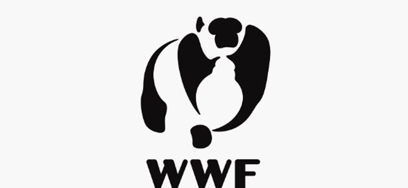 Átalakul a panda a WWF-nek tervezett mozgó logóban