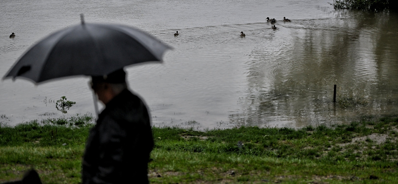 Térkép mutatja, mekkora vízállások várhatók a nagyobb Duna menti városokban