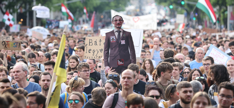 Gyerekeket bántasz! - Többezres tömeg tüntetett a státusztörvény ellen 