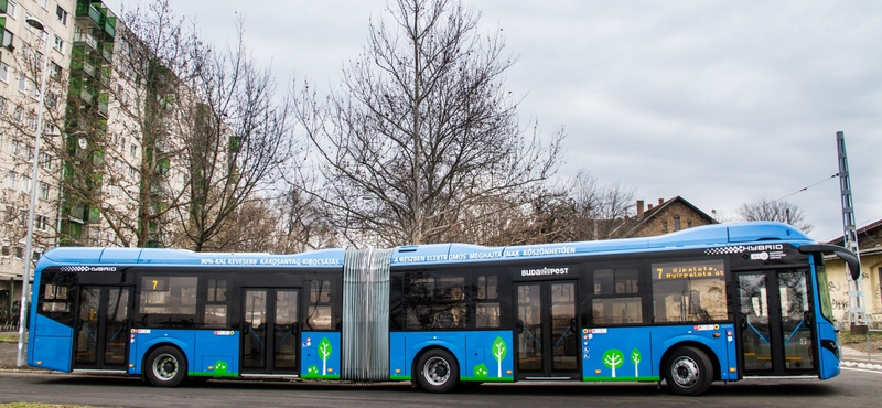 Vasárnap több hiper kinyit: a BKK is járatja a "szabad világ buszait"