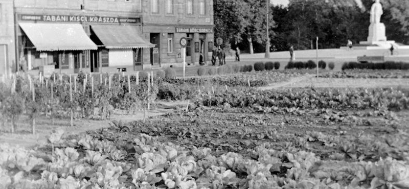 Ilyen volt Buda egyik főtere hetven éve