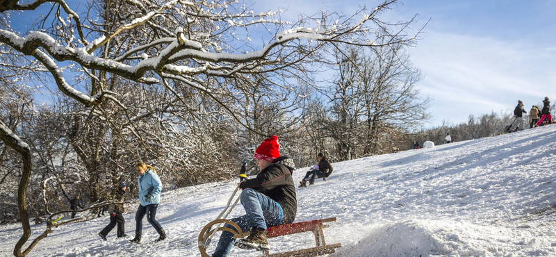 Megrohanta a Normafát a nép, csurig megteltek a parkolók