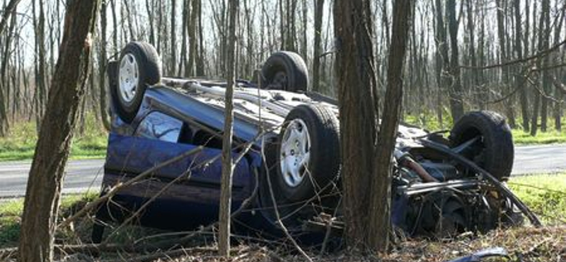 Fotók: egy nyúl miatt végezte a tetején a Peugeot