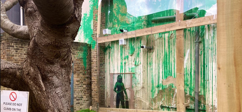 Bedobozolással akarják megóvni Banksy londoni fáját