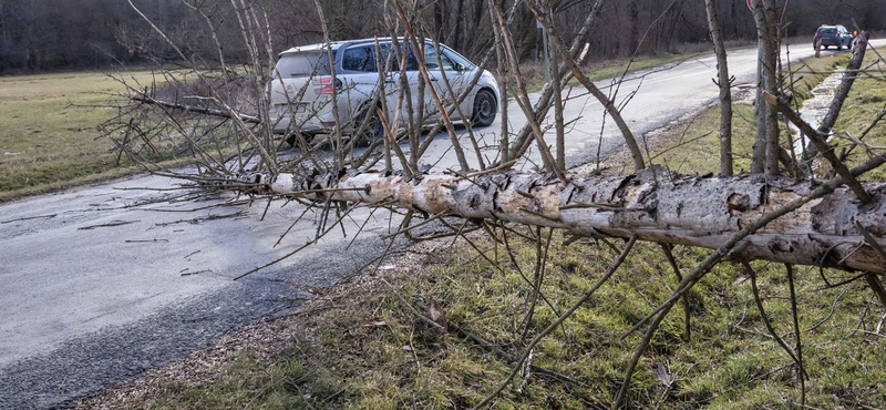 Kidőlt fák és porvihar miatt lassul a közlekedés, egy uszoda tetejét is megbontotta a szél