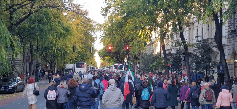 Nem indul lengyel különvonat a Békemenetre, inkább otthon maradtak, és Ukrajnáért tüntettek