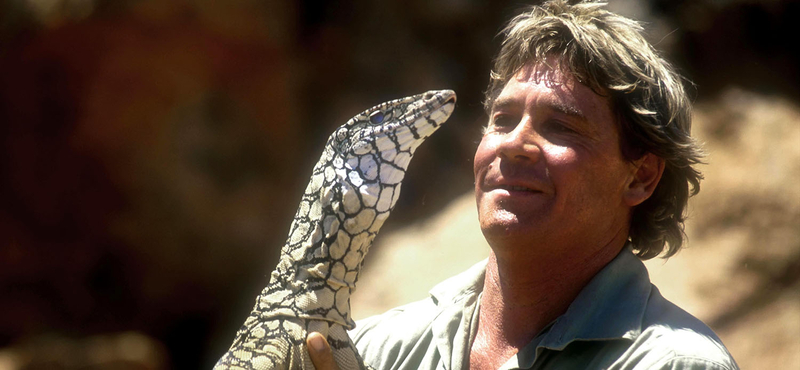 Óriáskígyó tekergett Steve Irwin csillaga körül