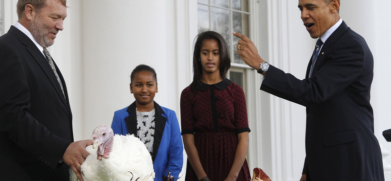 A nap képei: Obama megkegyelmezett két pulykának