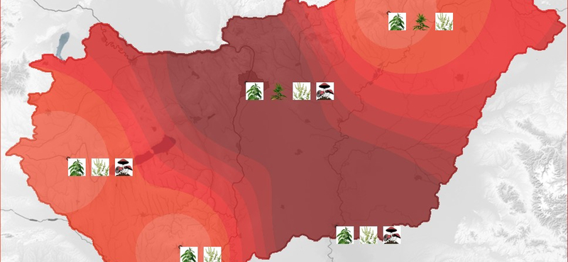 Itt az aktuális pollentérkép: az allergiásoknak nem nagyon maradt hely, ahova itthon elmenekülhetnének