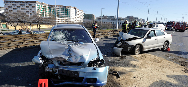 Halakat mentettek a tűzoltók a Rákóczi hídon - fotó