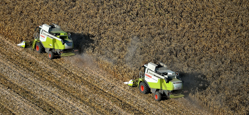 Újabb állami mankót kaptak a földliciteken hitelből vásárlók