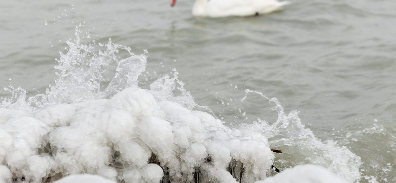 300 vakmerő ember mártózhat meg a jeges Balatonban