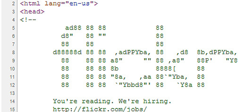 Forráskódban hirdet fejlesztőknek a Flickr
