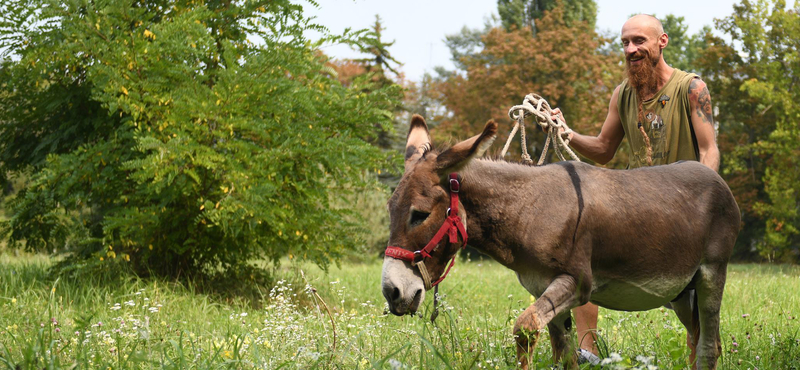 Miért száll fel egy ember szamárral a vonatra? Honnan jön, hová megy?