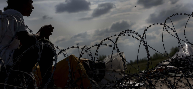 43 illegális bevándorló szabadult ki egy hűtőkamionból Bécs mellett