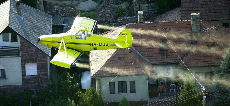 A Balatonnál is zajlik a Nagy Állami Szúnyogirtás