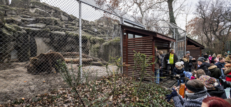 Az Állatkert visszautasítja Fekete Péter ötletét, nem akarnak vegyülni a cirkusszal