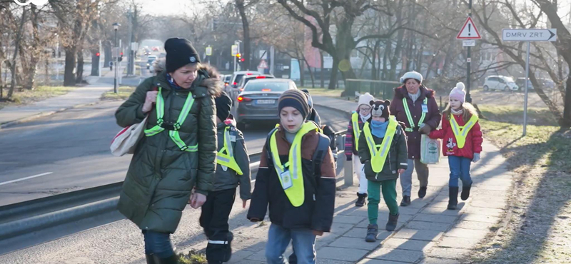 Pedibusszal mennek iskolába a gyerekek Gödöllőn