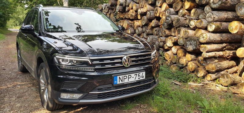 VW Tiguan-teszt: kicsit tigris, nagyon leguán