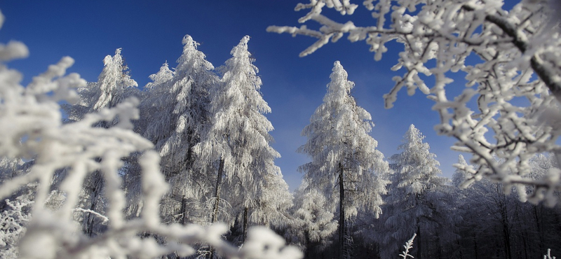 Adventi kalendárium – december 1.