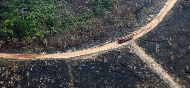 Három élelmiszeripari óriáscéget hoztak kapcsolatba az Amazonas irtásával