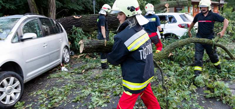 Több mint 1300 esethez riasztották a tűzoltókat vasárnap