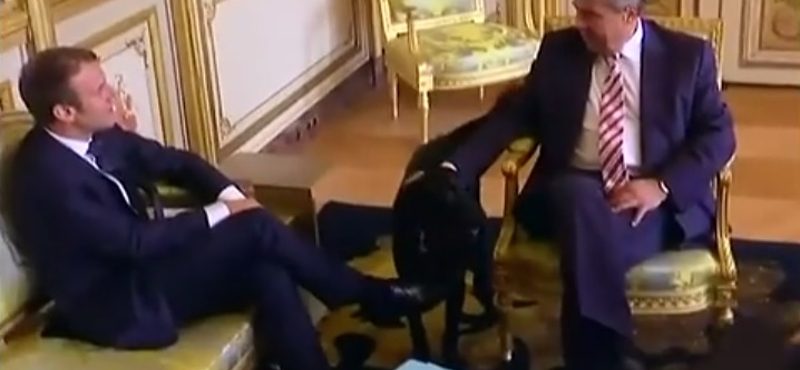 Cuki videón szaladgál a politikusok között Macron még neveletlen kutyája