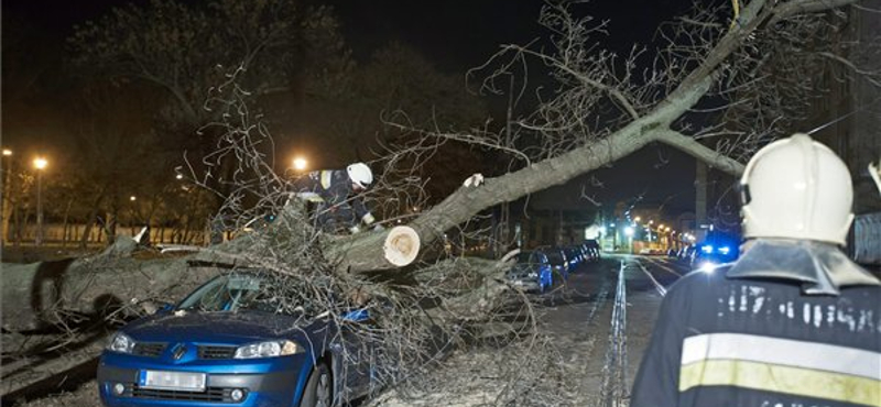 Áramkimaradásokat okozott az erős szél