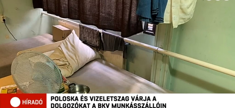 Poloska és vizeletes matrac várja a BKV munkásszállójára érkezőket