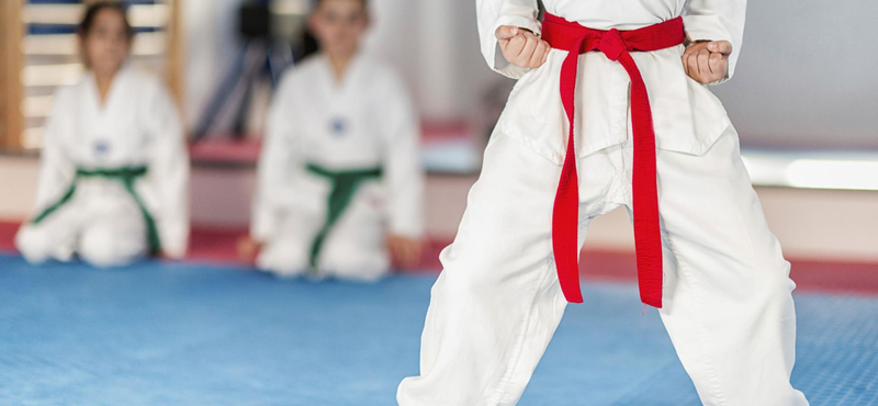 A karate szakszövetség örökre eltiltotta a kisfiút felrúgó edzőt és megfosztotta mesteri címétől is