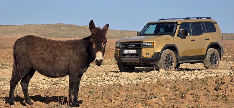 Ide az összes kátyúval! Afrikában kínoztuk meg a vadonatúj Toyota Land Cruisert