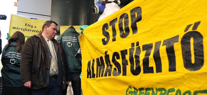 Az EU-hoz fordul a Greenpeace Almásfüzitő miatt