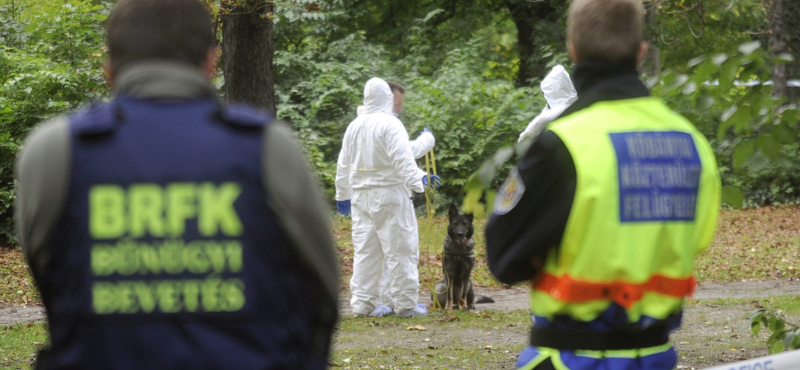 A népligeti gyilkost foghatták el a rendőrök