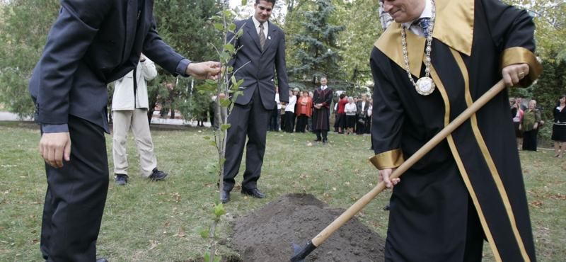 Corvinus: a közgazdászképzés fellegvára szűnhet meg