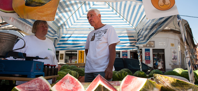 A Fidesz, a Tesco és a Maci kedvence 